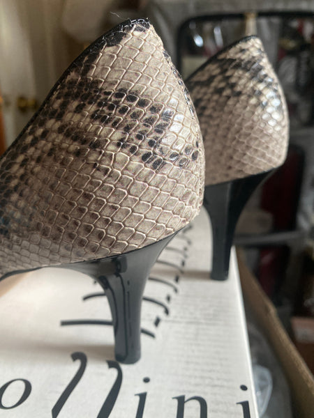 CP31  Capollini Python