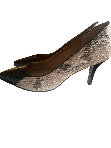 CP31  Capollini Python